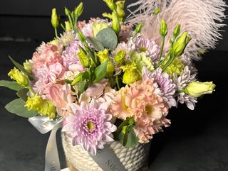 Бокс сузірʼя