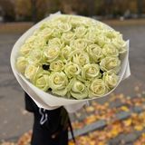 51 троянда "аваланч"