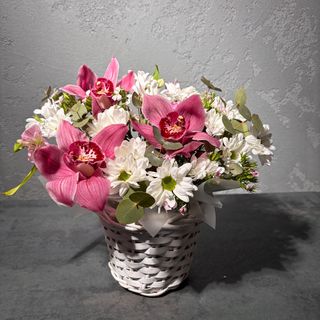 Бокс з орхідеї