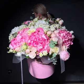 Бокс  Pink Harmonу
