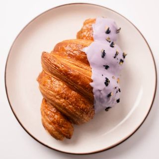 Currant-сан