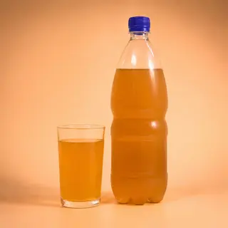 Комбуча (1л)