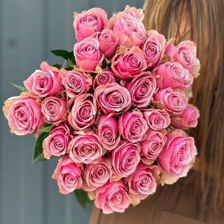 Троянда Атена Роял 50см