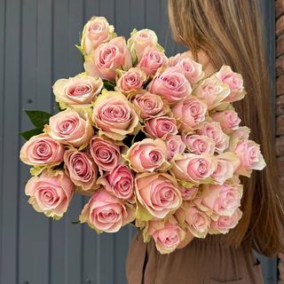 Троянда Пінк Атена 50см