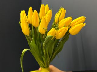 15 тюльпанів під стрічку