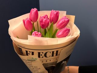 7 тюльпанів в пакуванні