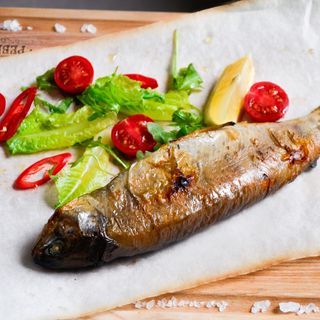 Закарпатська райдужна форель