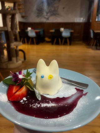 ПаннаКотик (150г)