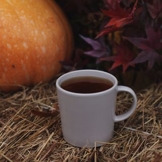 Каскара (чай)