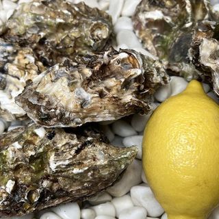 Біла перлина №2 (6 шт.)