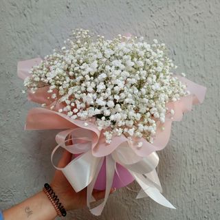 Композиція з білої гіпсофіли