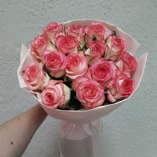 15 біло-рожевих троянд сорту Джумілія