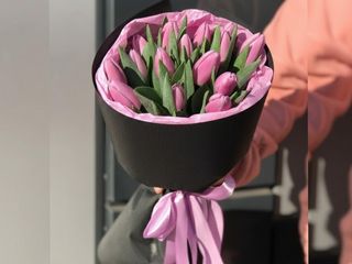 15 бузкових тюльпанів