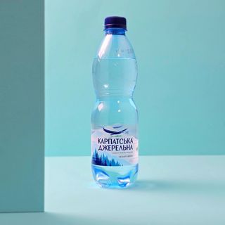 Карпатська джерельна сильногазована (0.5л)