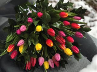 Букет з мікс тюльпанів різних сортів 35 шт