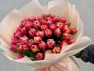 Букет з 51-го піоновидного голландського рожевого тюльпанів першого сорту