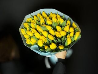 Букет з 51-го жовтого голландського тюльпану