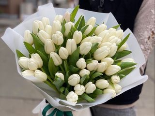 Букет з 51-го голландського тюльпану