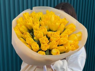 Букет з 51-го жовтого голландського тюльпану перших сортів