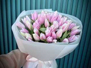 Букет з 51-го пудрового голландського кольору