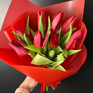 Червоні тюльпани #9