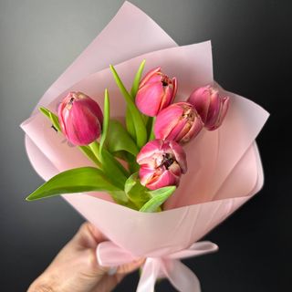 Піоновидні тюльпани #5