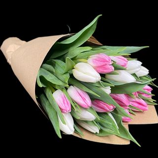 Букет тюльпанів №4 (21шт)