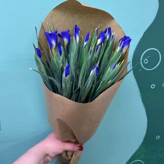 Букет ірисів (25шт)