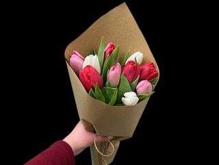 Мікс тюльпанів №114 (11шт)
