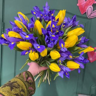 Мікс тюльпанів та ірисів (41шт)