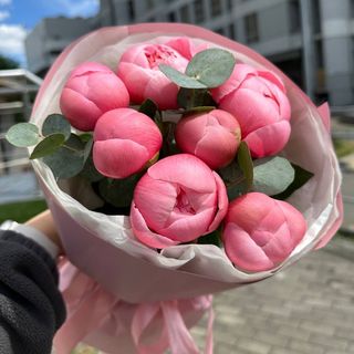 Букет із 7 півоній Pink з евкаліптом