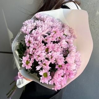 Букет із 7 Хризантем Чік рожева
