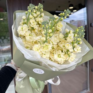 Букет із 7 гілок Матіоли