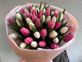 Букет із 51 білого та рожевого тюльпану
