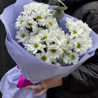 Букет із 3 Хризантем Чік біла+евкаліпт
