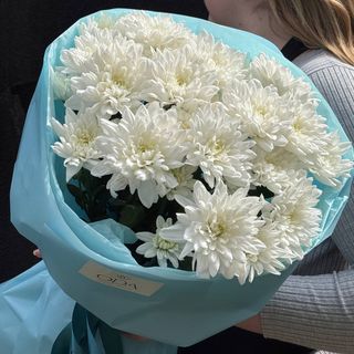 Букет із 5 Хризантем Балтика біла