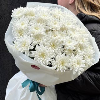 Букет із 9 Хризантем Балтика біла