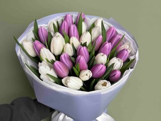 Букет із 35 білих та лілових тюльпанів