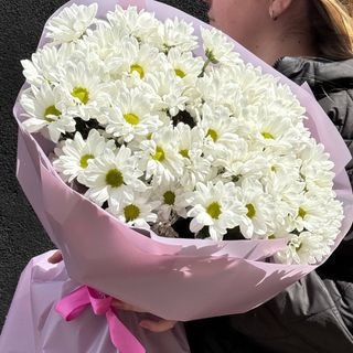 Букет із 9 Хризантем Чік біла