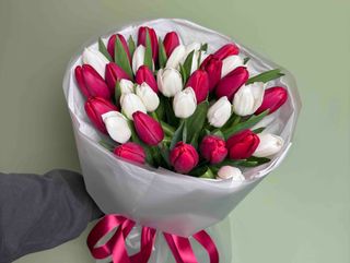 Букет із 35 червоних та білих тюльпанів