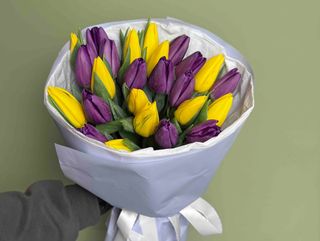 Букет із 25 жовтих та фіолетових тюльпанів