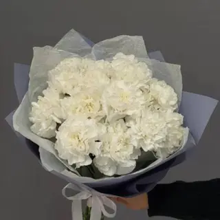 Букет із 15 білих гвоздик