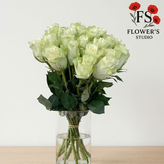 Троянда біла, Атена, поштучно