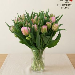 Тюльпан  піоновідний лавандового кольору.