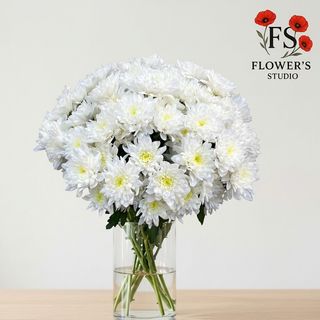 Хризантема біла балтіка,  поштучно