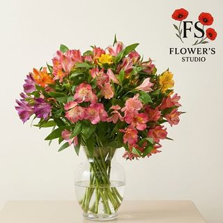 Альстромерія поштучно