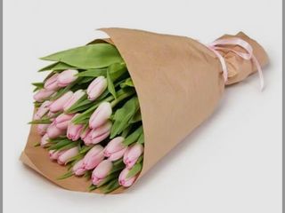 Букет 25 шт з рожевих тюльпанів