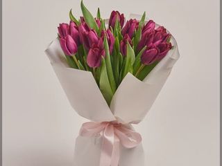 Букет 25 шт з лілових  тюльпанів.