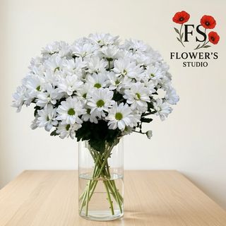 Хризантема ромашковидна біла, поштучно