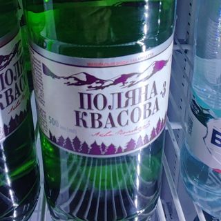 поляна квасова 0.5 стекло